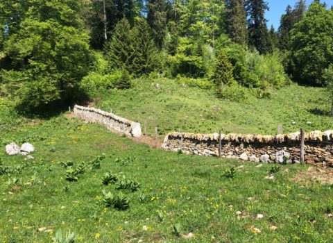 Mur en pierre dans le périmètre de Bassins