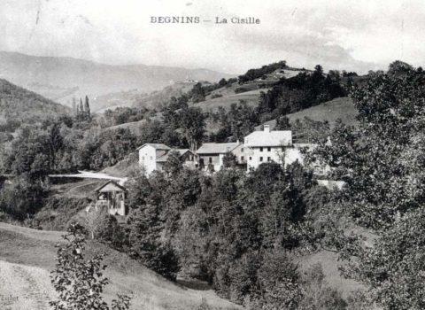 Photo d'archives de la forêt de Begnins