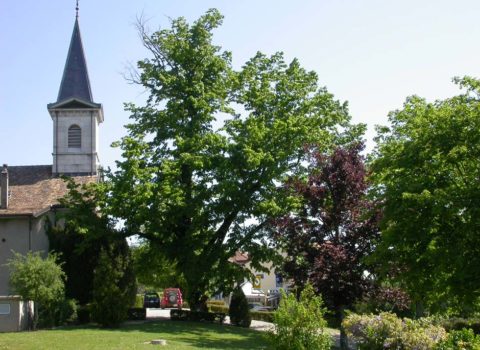Village de Bursinel