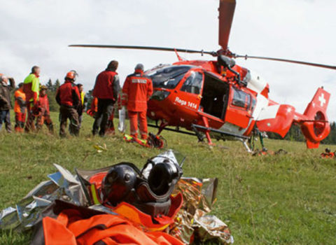 cours secours en forêt