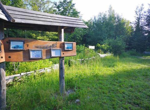 Panneau en bois dans la forêt d'Essertines-sur-Rolle