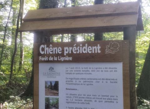 Panneau didactique dans la forêt de Gland