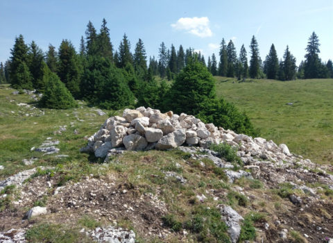 Mur en pierres dans les pâturages de Le Vaud