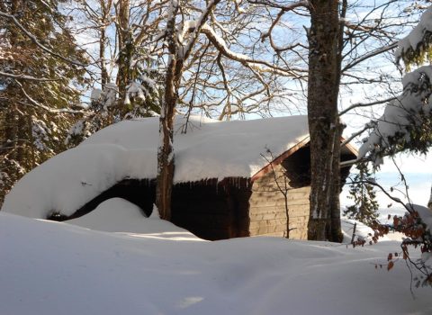 Cabane dans la forêt de Marchissy en hiver