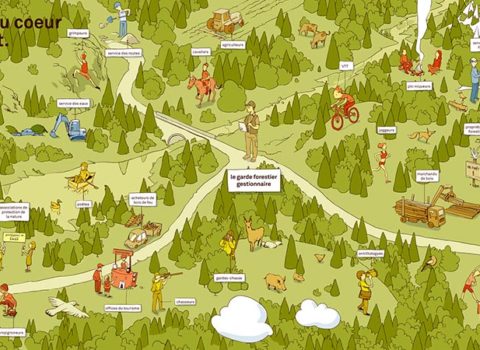 Plan directeur forestier pour les montages jurassiennes